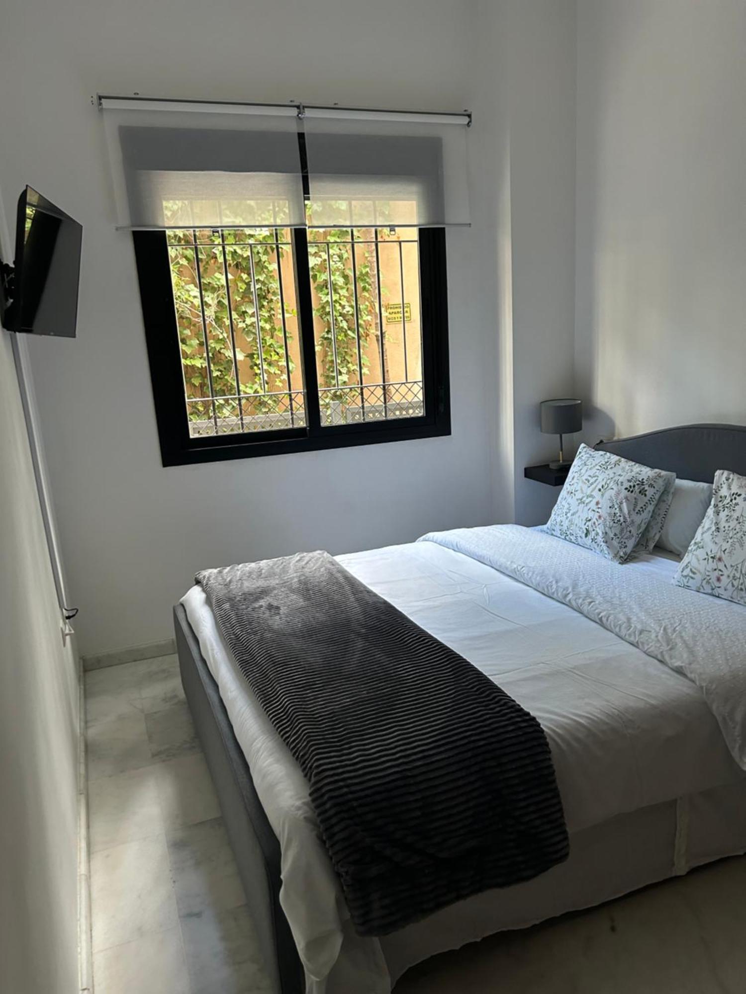 סביליה Apartamento Proximo Al Centro De 2 Dormitorios Con Piscina. מראה חיצוני תמונה
