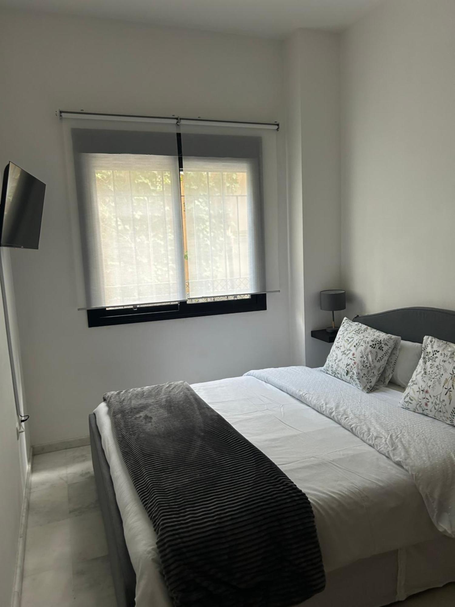 סביליה Apartamento Proximo Al Centro De 2 Dormitorios Con Piscina. מראה חיצוני תמונה
