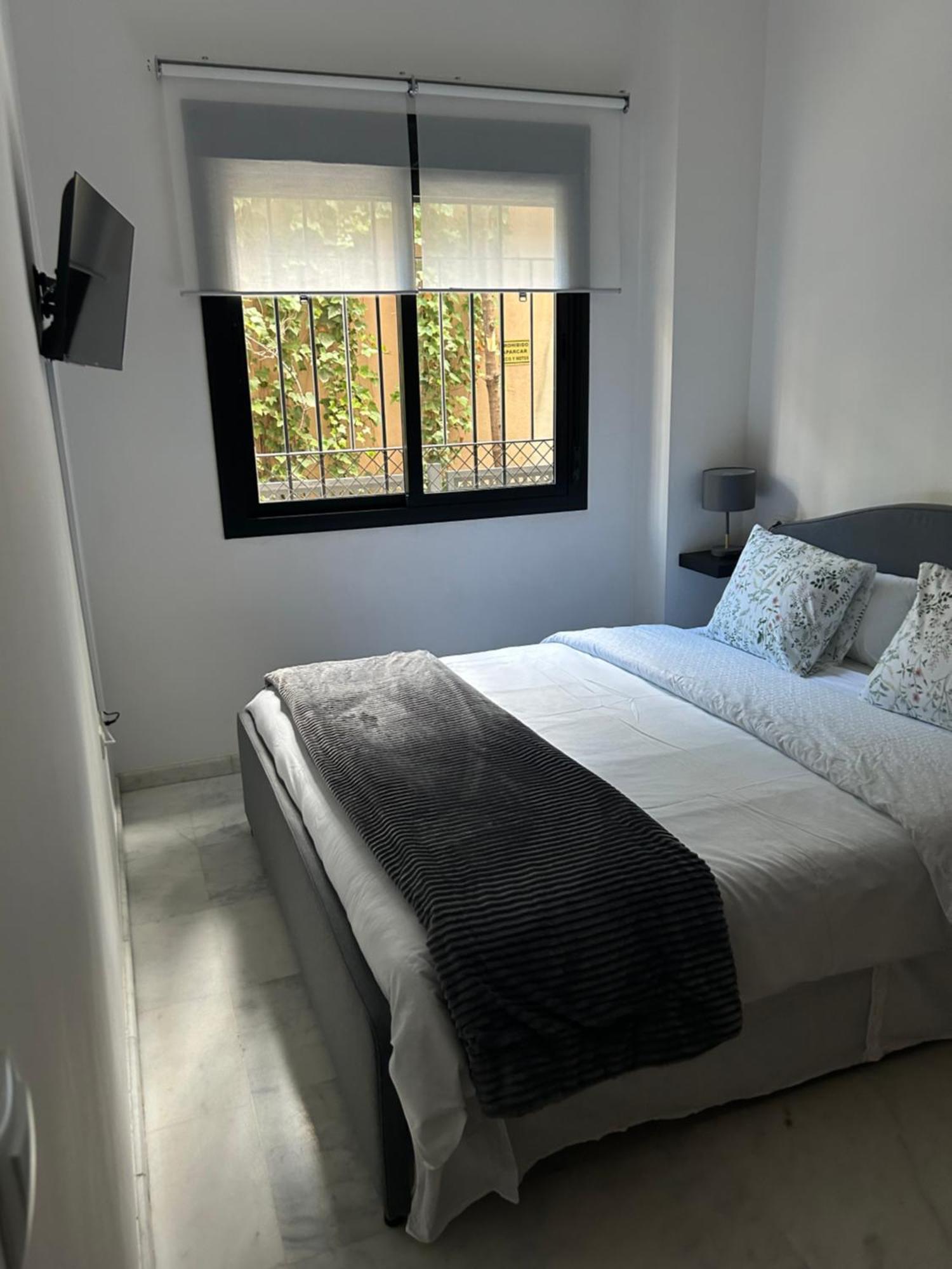 סביליה Apartamento Proximo Al Centro De 2 Dormitorios Con Piscina. מראה חיצוני תמונה